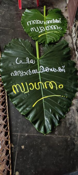 BS21 TSR 24074 3.jpg