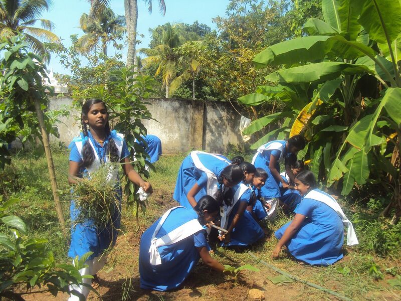 പ്രമാണം:Jaivakrishi 15 35052 (6).JPG