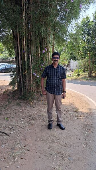 പ്രമാണം:Sajan kite ktm.jpg