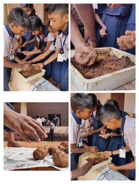 പ്രമാണം:WhatsApp Image 2022-11-20 at 17.55.18.jpg