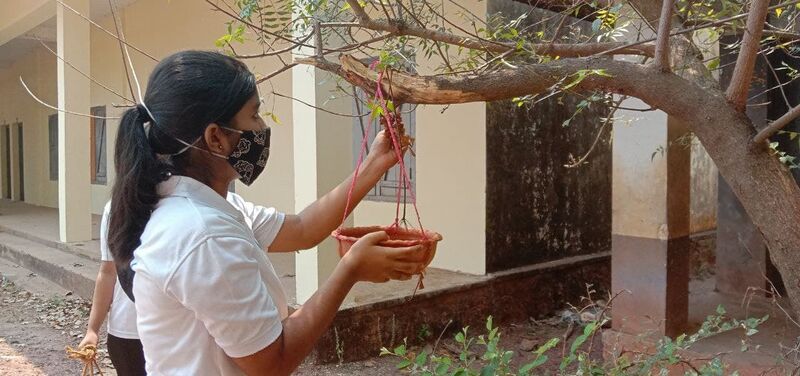 പ്രമാണം:12060 parava 2020 21 6.jpg