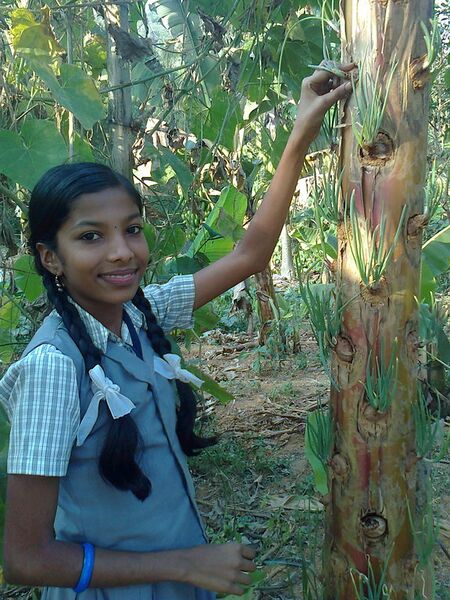 പ്രമാണം:15470 harsha.jpg