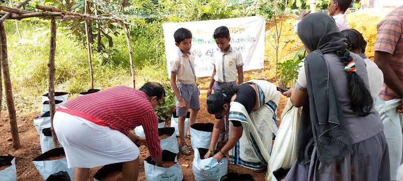 പ്രമാണം:17542-VEGETABLE FARMING 2.jpg