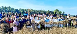 19009-VITHINOPPAM VILAKKAOPPAM 1.jpg