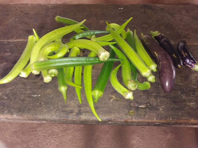 പ്രമാണം:19068 SEED 3.jpeg