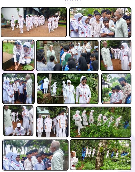 പ്രമാണം:1e148a70-9865-4291-ad00-a17023f0dd98.jpg