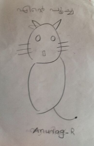 പ്രമാണം:21445-PKD-Anurag R.jpeg