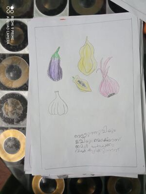 23512-TSR-KUNJ-SREEDWV 1 B.jpg