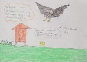 25036-EKM-KUNJ-NICOLE SINTO.jpg