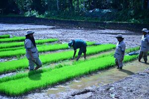 29312 koithulsavam5.jpeg
