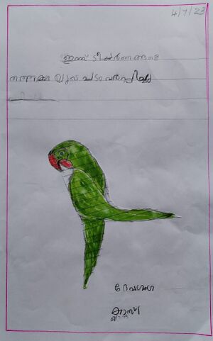 33507-KTM-KUNJU-DEVAGANGA BINIPH.jpg