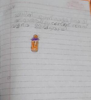 34041-ALP-KUNJ-SIVANI V.jpeg