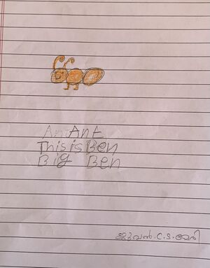 36310-ALP-KUNJ-JEWEL CS MARY.jpg