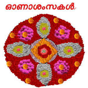 42013-tvm-dp-2019-1.png