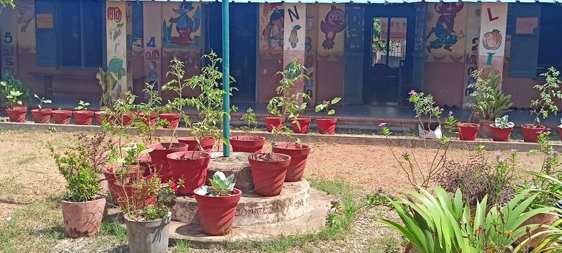 പ്രമാണം:42225 vilabhagom vegetable garden.jpg