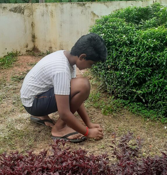 പ്രമാണം:44018 e25.jpg