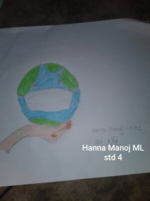 44534-Hanna Manoj M L.jpg