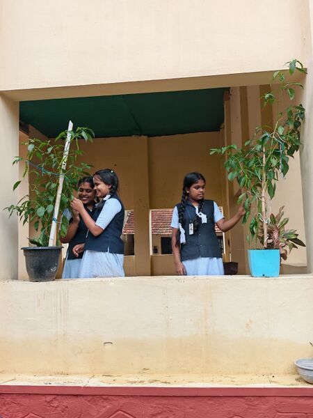 പ്രമാണം:45027 environment day26 3.JPG