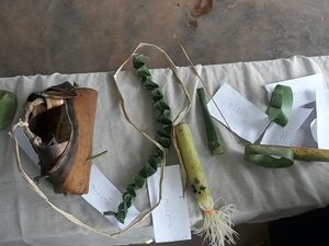 Nadan Kalippatta Nirmanavum Pradarsanavum-7.jpg