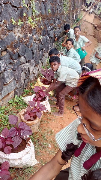 പ്രമാണം:Vegetable cultivation unit.jpg