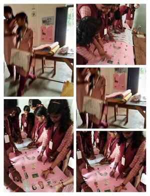 WhatsApp Image 2026-03-17 at 19.05.40.jpg