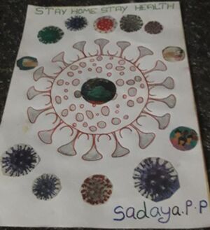 13561-Sadaya P P,4 B.jpeg