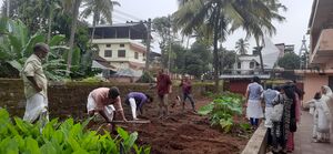 16002 adukalathottam2.jpg