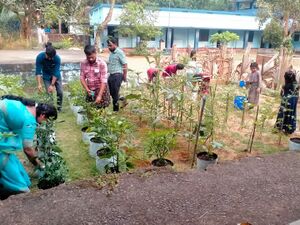 19713 Vegetable Garden 1.jpeg