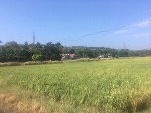 20019 1ente gramam.JPG