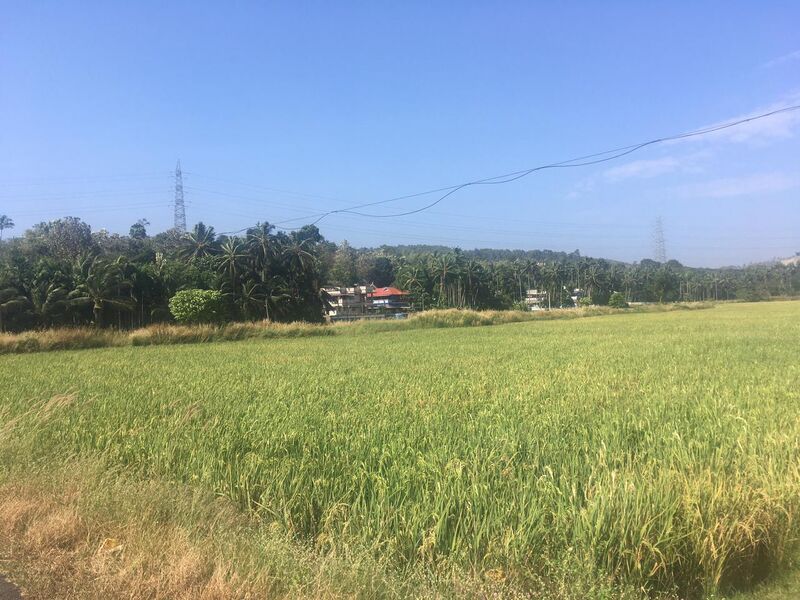 പ്രമാണം:20019 1ente gramam.JPG