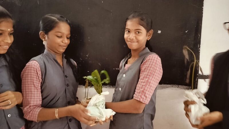 പ്രമാണം:21012-changathikkoru maram2.jpg