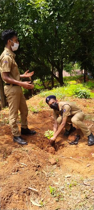 21068 environmentday 1jpeg.jpeg