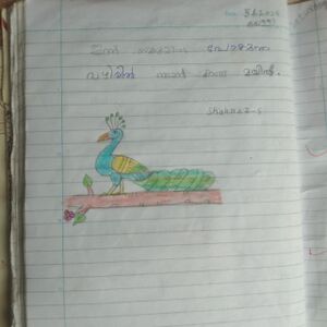 21228 pkd kunj shahanz.jpeg