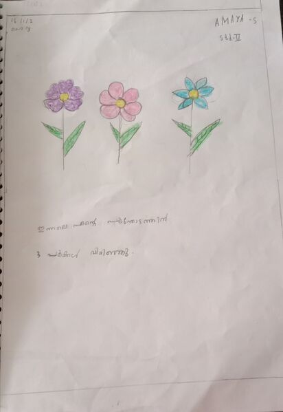 പ്രമാണം:21240-PKD-KUNJ-AMAYA S.jpeg