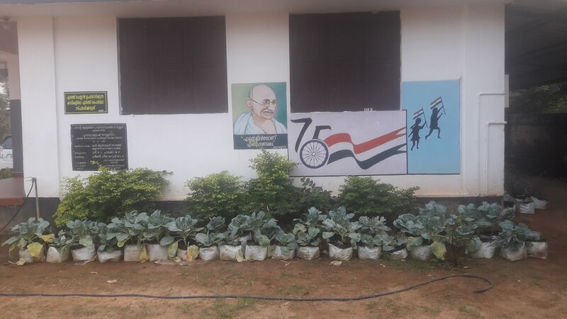 പ്രമാണം:22029-school-vegetable garden.jpg