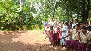 22222 tsr seed.jpg.jpeg