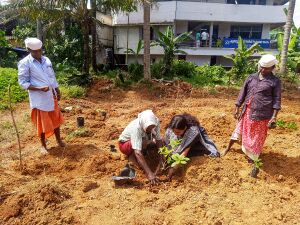 28012 SP 1920 134.jpeg