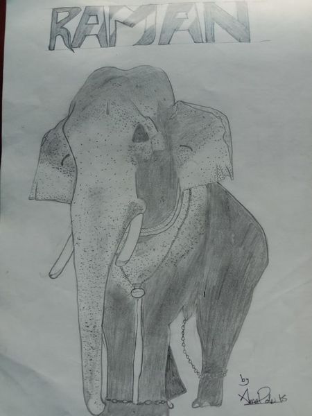 പ്രമാണം:Elephant.jpg