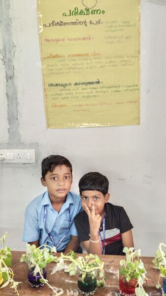 പ്രമാണം:Kalothsavm 11.jpg