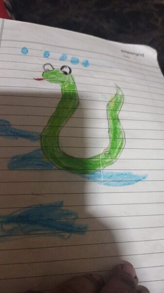 പ്രമാണം:11469-KGD-KUNJ-MARIYAMMATH IFA MAHBIN.K.R.jpeg