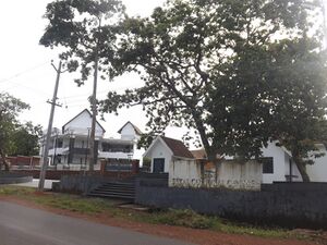 12060 2018 008.resized.JPG