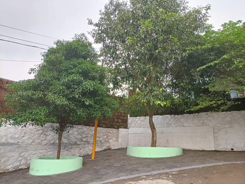 പ്രമാണം:18025 Hi-Tech garden.jpeg