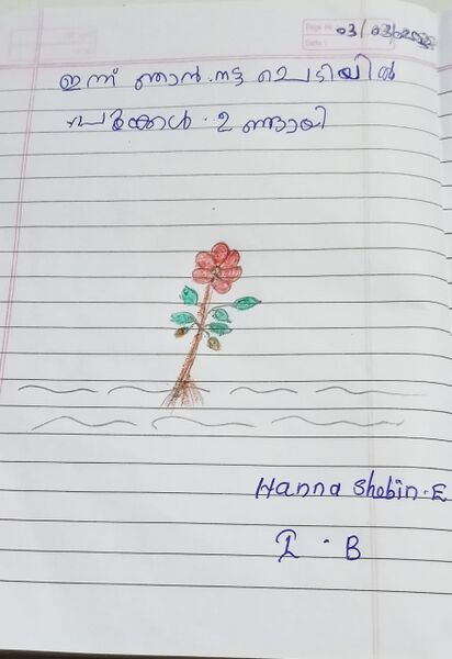 പ്രമാണം:19512-MLP-KUNJ-HANNA SHEBIN.jpeg