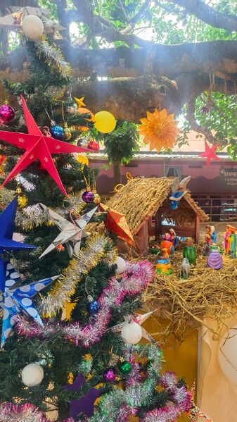 പ്രമാണം:19826 Cristmas 8.jpeg