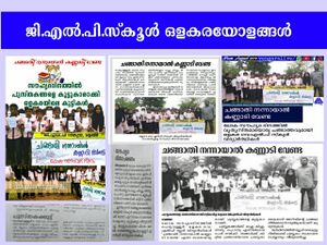 19833 Library changathi nannayal.jpg