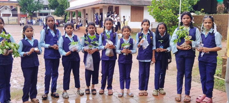 പ്രമാണം:24034.jpg