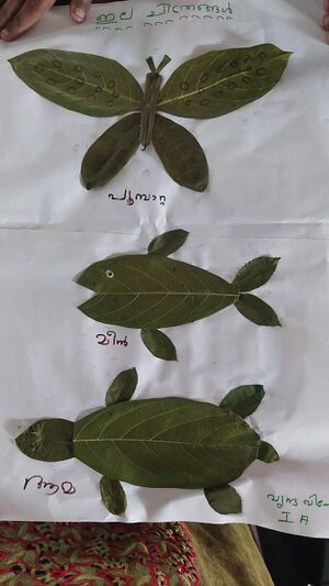 35302-ALP-KUNJ-VRINDA VINOD.jpg