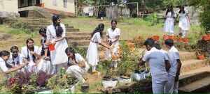 38077 JRC 2025 1.jpg