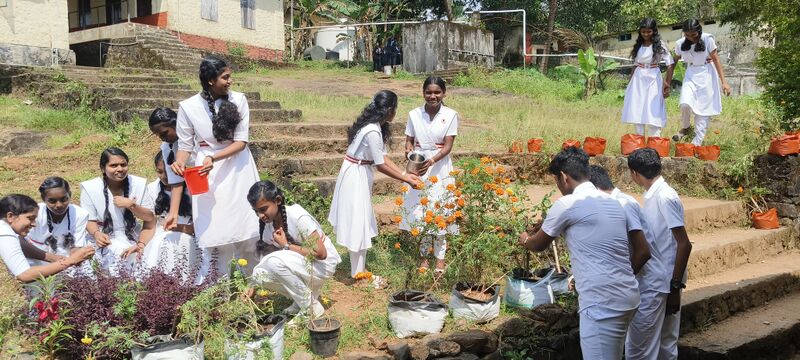 പ്രമാണം:38077 JRC 2025 1.jpg