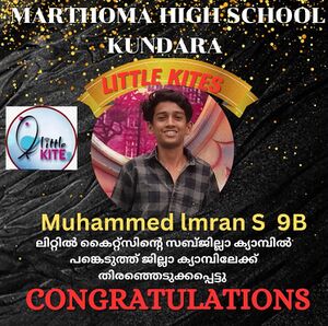 39055 brilliant3.jpeg